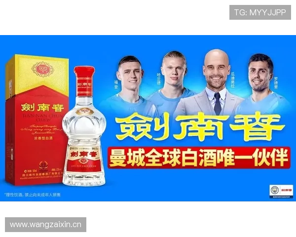 赖斯与罗德里对比:全能性与体系核心的差距在哪 赖斯与罗德里对比:全能性与体系核心的差距在哪